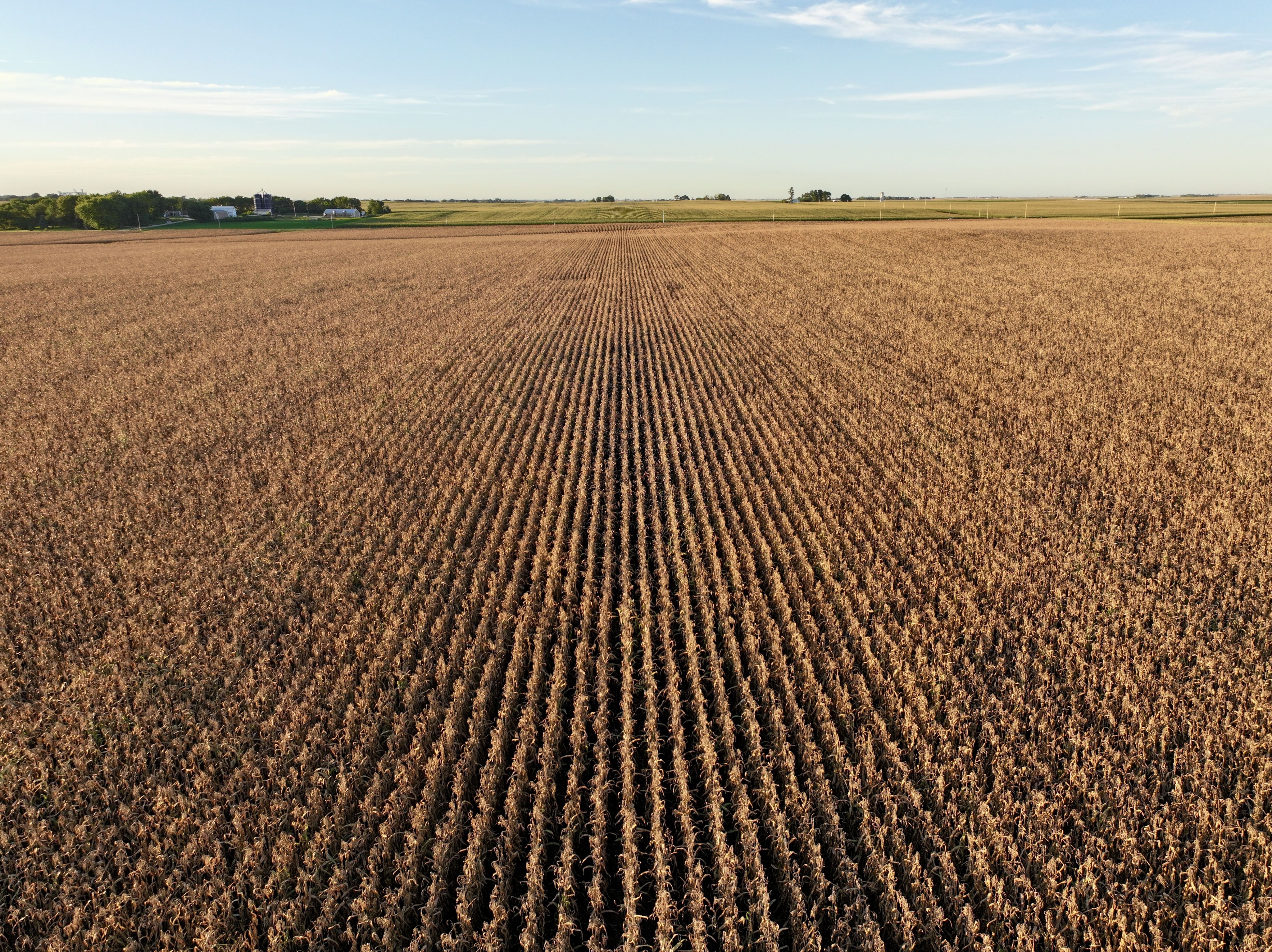 Listing Photo: Photo Sep 09 2026, 7 07 42 PM